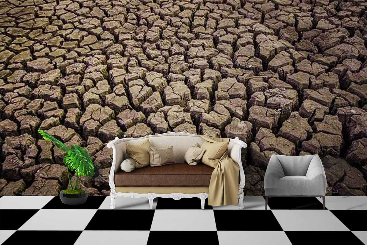 Dry Land shown in a room