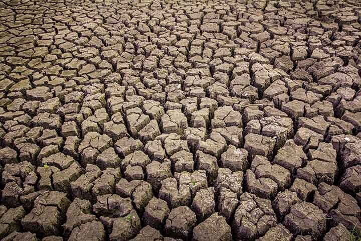 Dry Land pattern detail