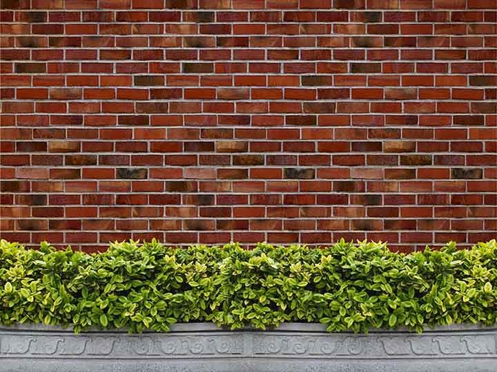 Normal Wall texture pattern detail