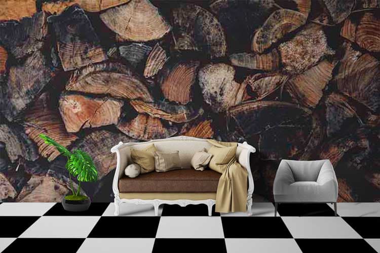 Branch Cut Down Randomly shown in a room