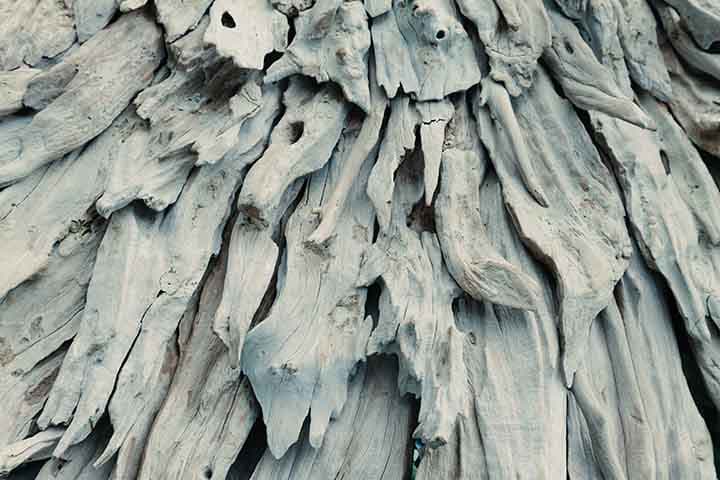 Bone Textured pattern detail