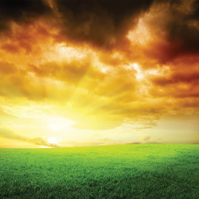 Indian Tri-Color Sky Wallpaper for Wall pattern detail
