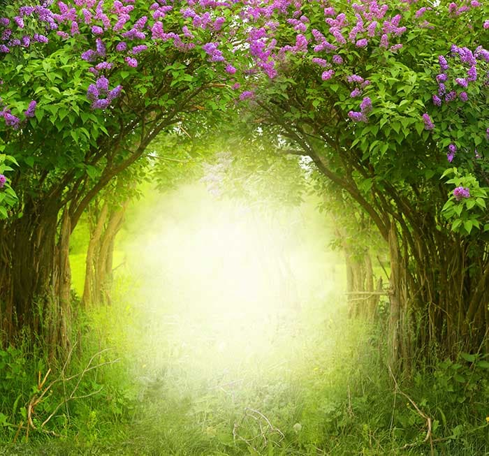 Enchanting Woodland Nature Wall Wallpaper pattern detail