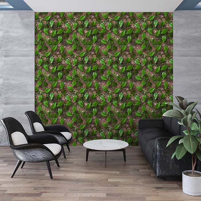 Green Vines on Walls Wallpaper shown in a room
