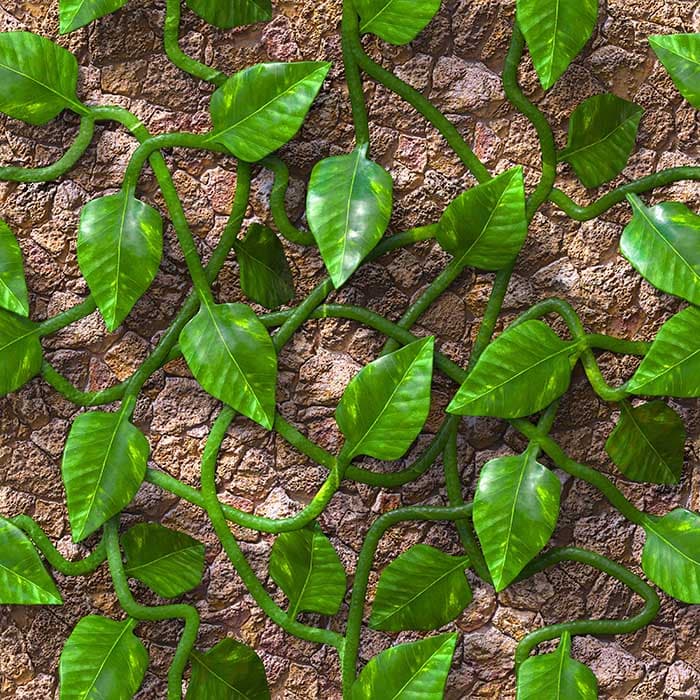 Green Vines on Walls Wallpaper pattern detail