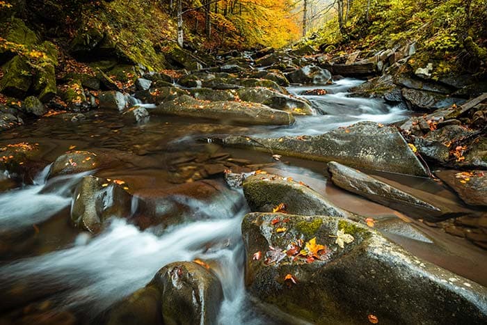 Serene Flowing River Wallpaper Mural pattern detail