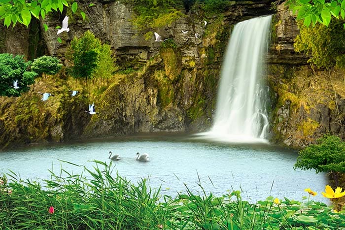 Elegant White Birds and Swans Nature Wall Mural Wallpaper pattern detail