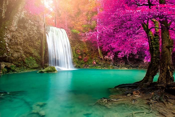 Serene Pink Trees and Waterfall Wallpaper pattern detail