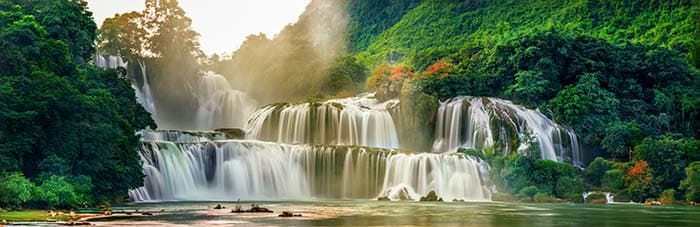 Waterfall Forest Wallpaper Mural pattern detail