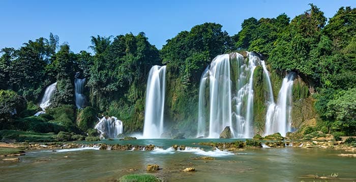 Green Forest with Waterfall Wallpaper Mural pattern detail