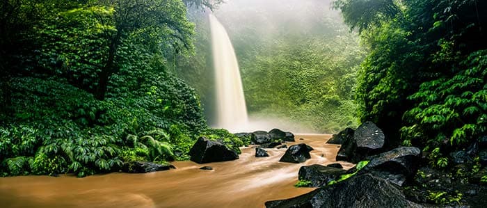 Waterfall in A Forest Wallpaper pattern detail