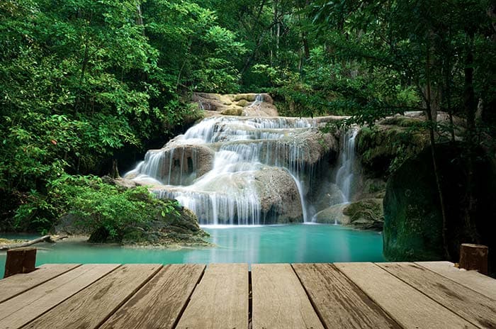 Greenery with Serene Waterfall Wallpaper pattern detail