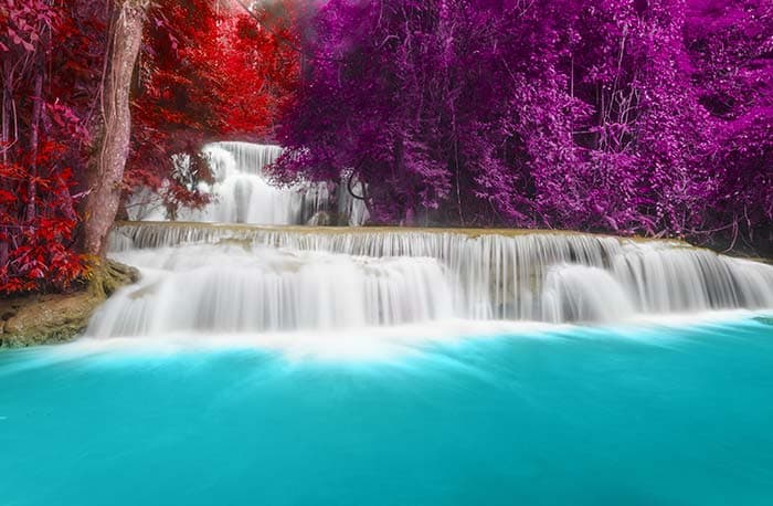 Waterfall Wallpaper With Red and Purple Trees pattern detail