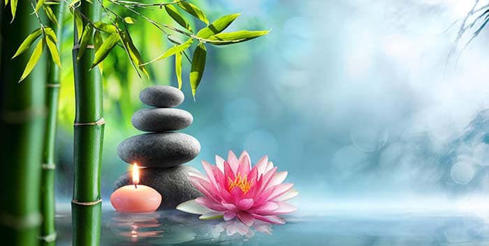 Lotus and Pebbles Wallpaper for Wall pattern detail