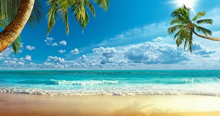 Tranquil Seascape Wallpaper pattern detail