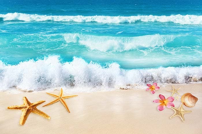 Star Fish and Sea Waves Wallpaper Mural pattern detail