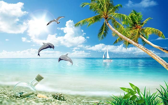Dolphins Playing in Ocean Wallpaper pattern detail