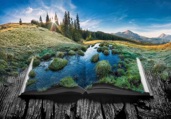 Alpine Mountain Valley Wallpaper pattern detail