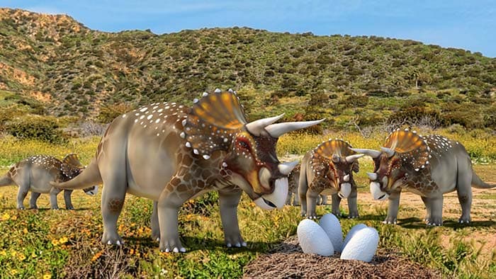 World of Triceratops pattern detail
