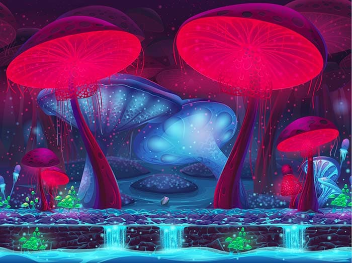 Mystic mushroon land pattern detail
