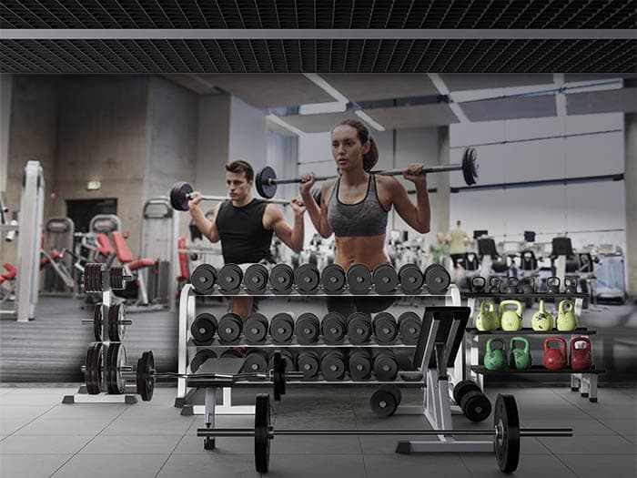 Dawn of Dumbells shown in a room