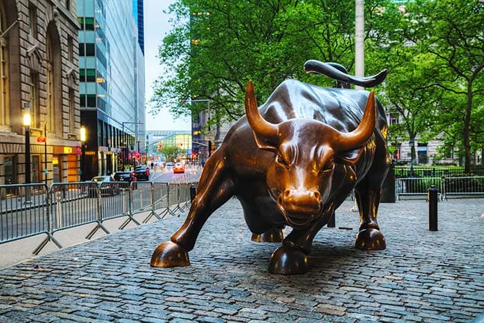 Roaring Bull pattern detail