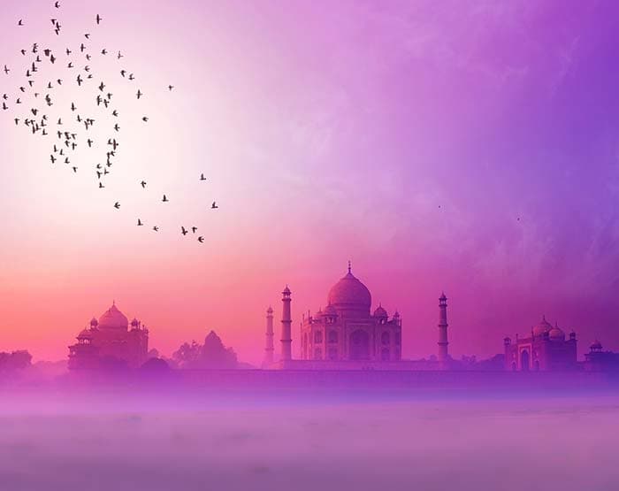 Timeless Taj Wallpaper Mural pattern detail
