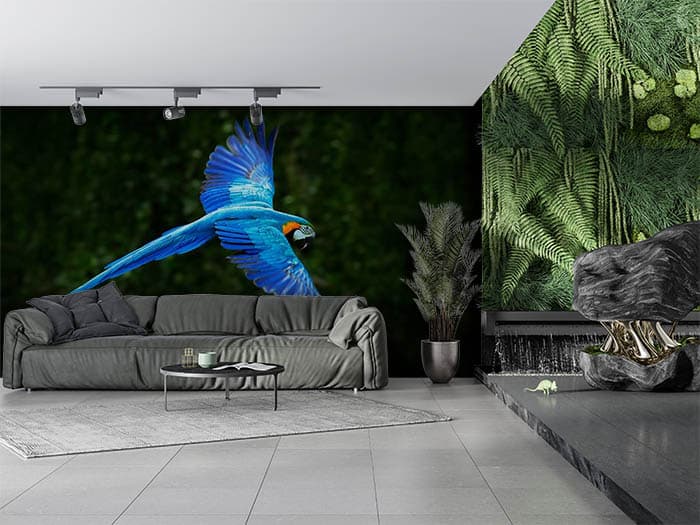 Blue Parrot shown in a room