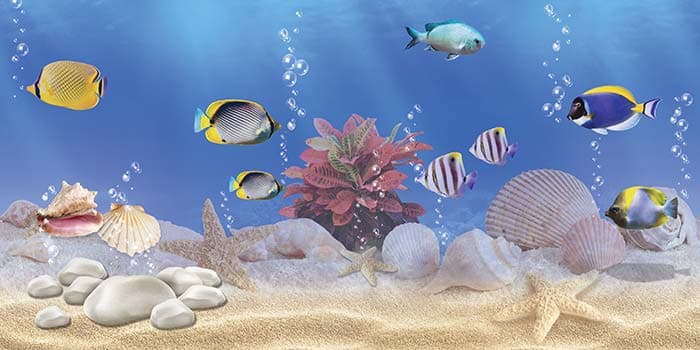 Fishes and Molluscs Ocean Wall Mural Wallpaper pattern detail