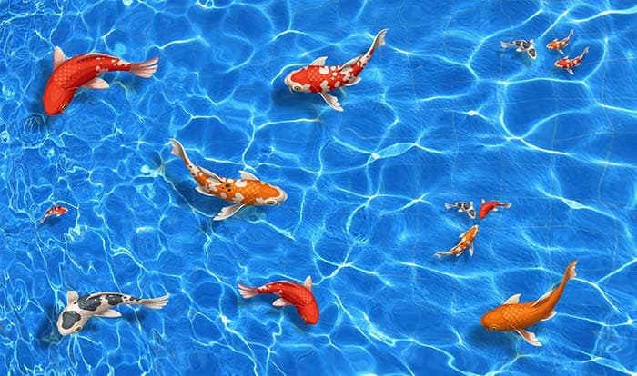 Tangerine Fishes Vibrant Ocean Life Wallpaper pattern detail