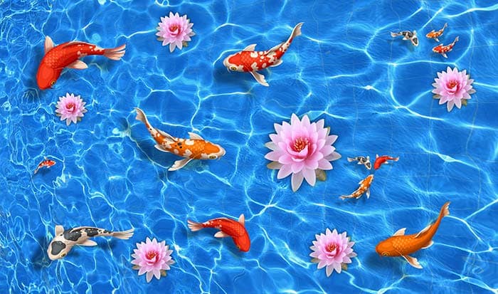 Lotus and Fishes in Water Wallpaper for Wall pattern detail