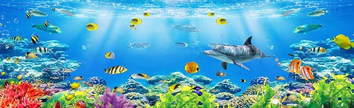 Fishes and Dolphins Ocean Wall Mural Wallpaper pattern detail