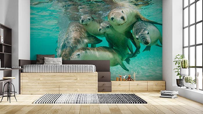 Happy Dolphins Underwater Scene Wallpaper shown in a room