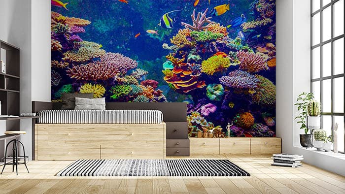Colorful Coral Reefs shown in a room