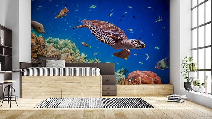 Playful Turtle shown in a room