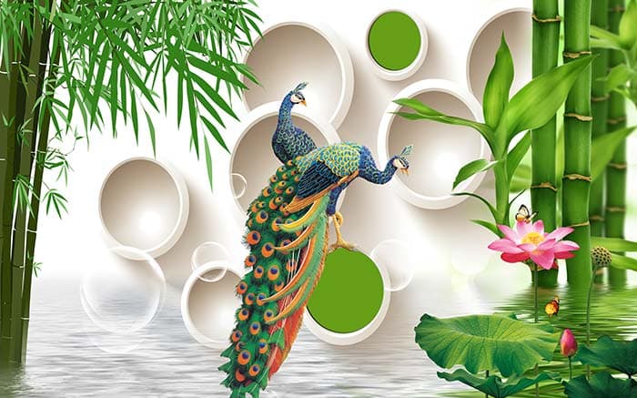 Premium Peacock Circle Wall Decor Wallpaper pattern detail