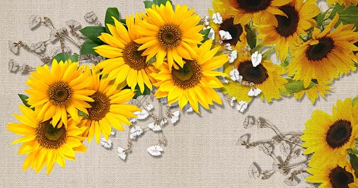Sun Flowers pattern detail