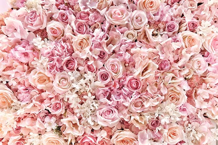 Romantic Pink Roses Wall Wallpaper pattern detail