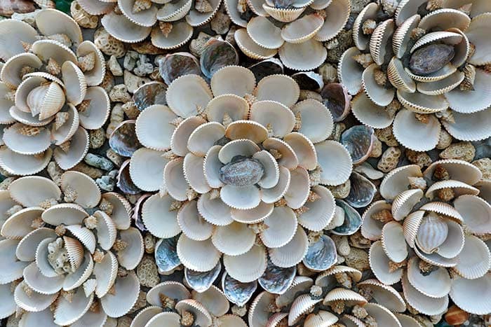 Floral Illusion pattern detail