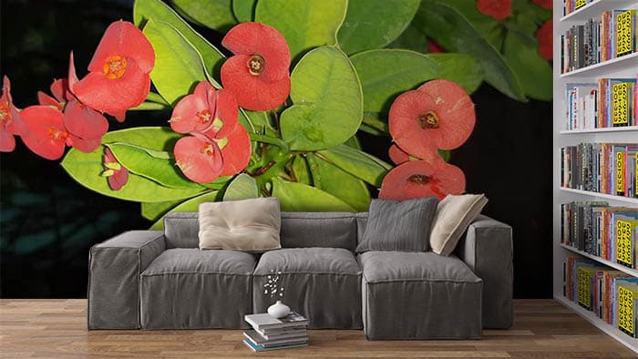 Image Floral shown in a room