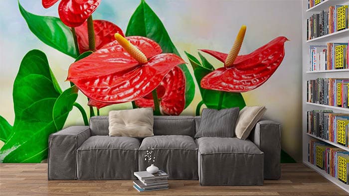 Red Floral shown in a room