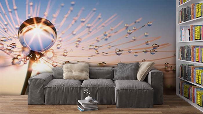 Dew Drops shown in a room