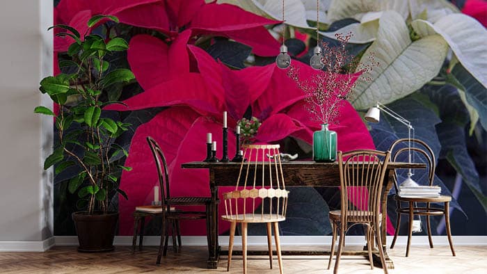 Red and Green Leaves shown in a room