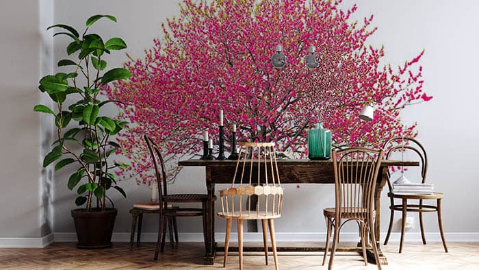 Pink Blossom tree shown in a room