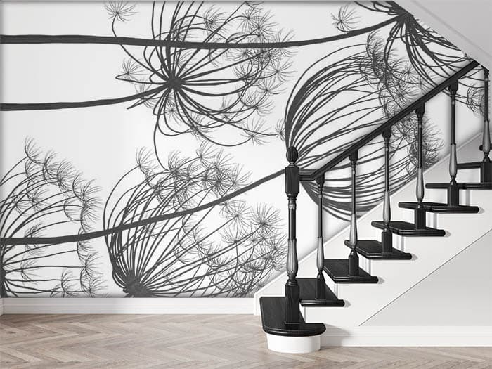 Black Chrysanthemums shown in a room