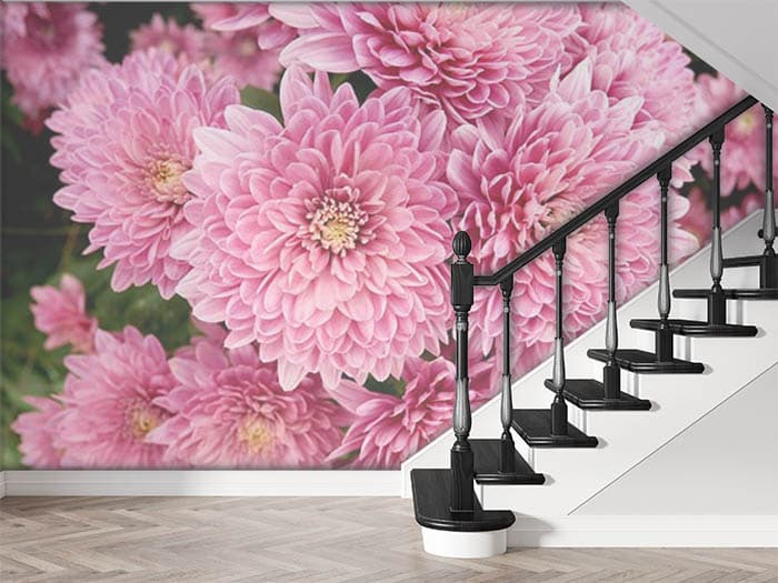 Romantic Pink Dahlias Flower Garden Wallpaper shown in a room