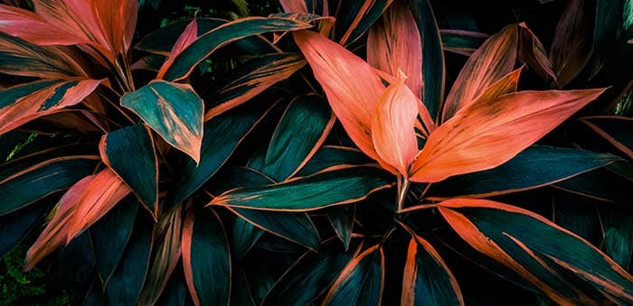Green and Orange Leaves pattern detail