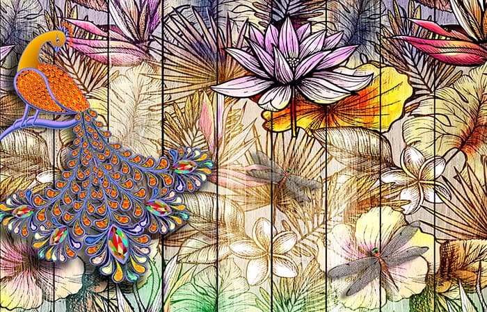 Abstract Peacock pattern detail