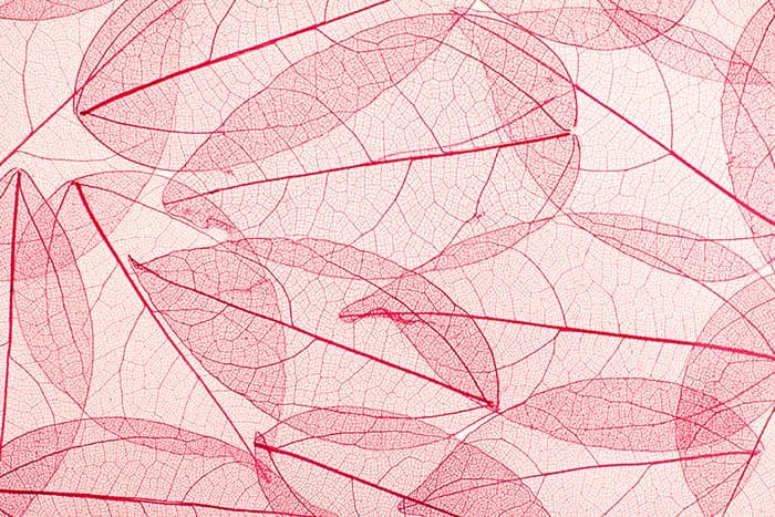 Thin Blossom pattern detail