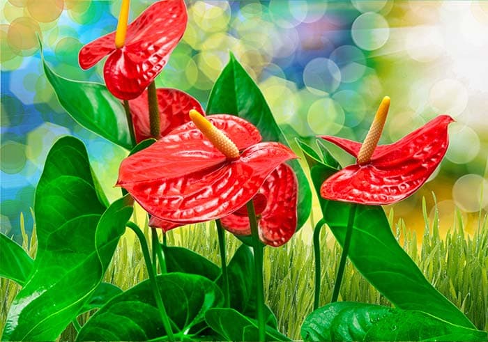 Floral View pattern detail